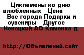 Цикламены ко дню влюбленных › Цена ­ 180 - Все города Подарки и сувениры » Другое   . Ненецкий АО,Каменка д.